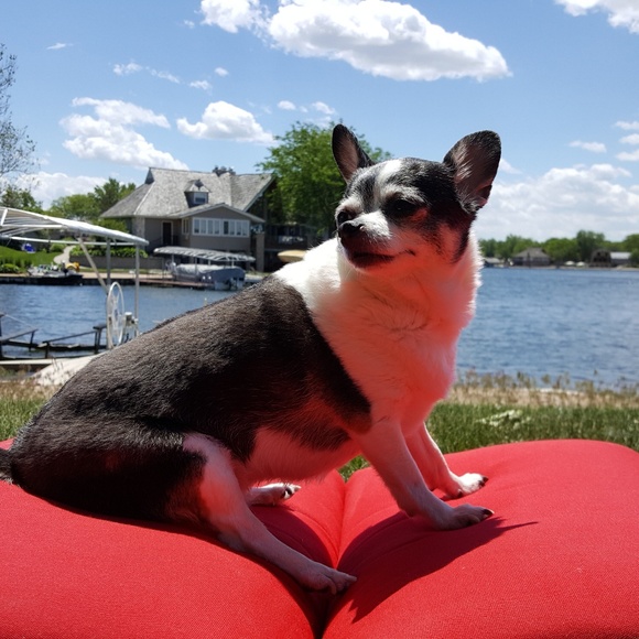 Meet your Posher, Mary - Picture 4 of 8